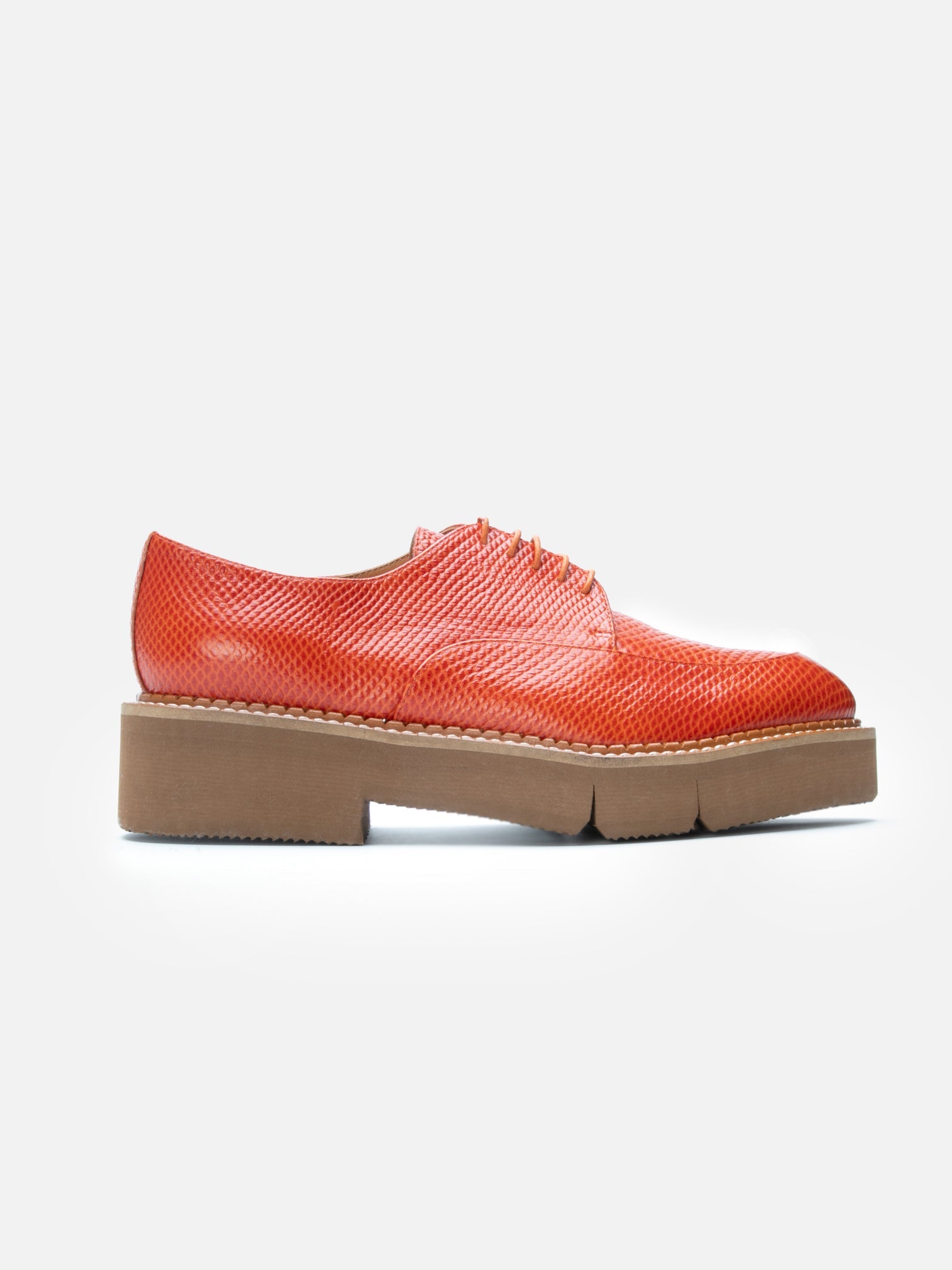 DERBIES - CLIVE, snake - effect spice - 3606064048902 - Clergerie Paris - Europe