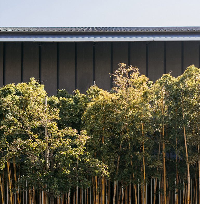 FOLLOWING KENGO KUMA'S FOOTSTEPS - Clergerie Paris - Europe